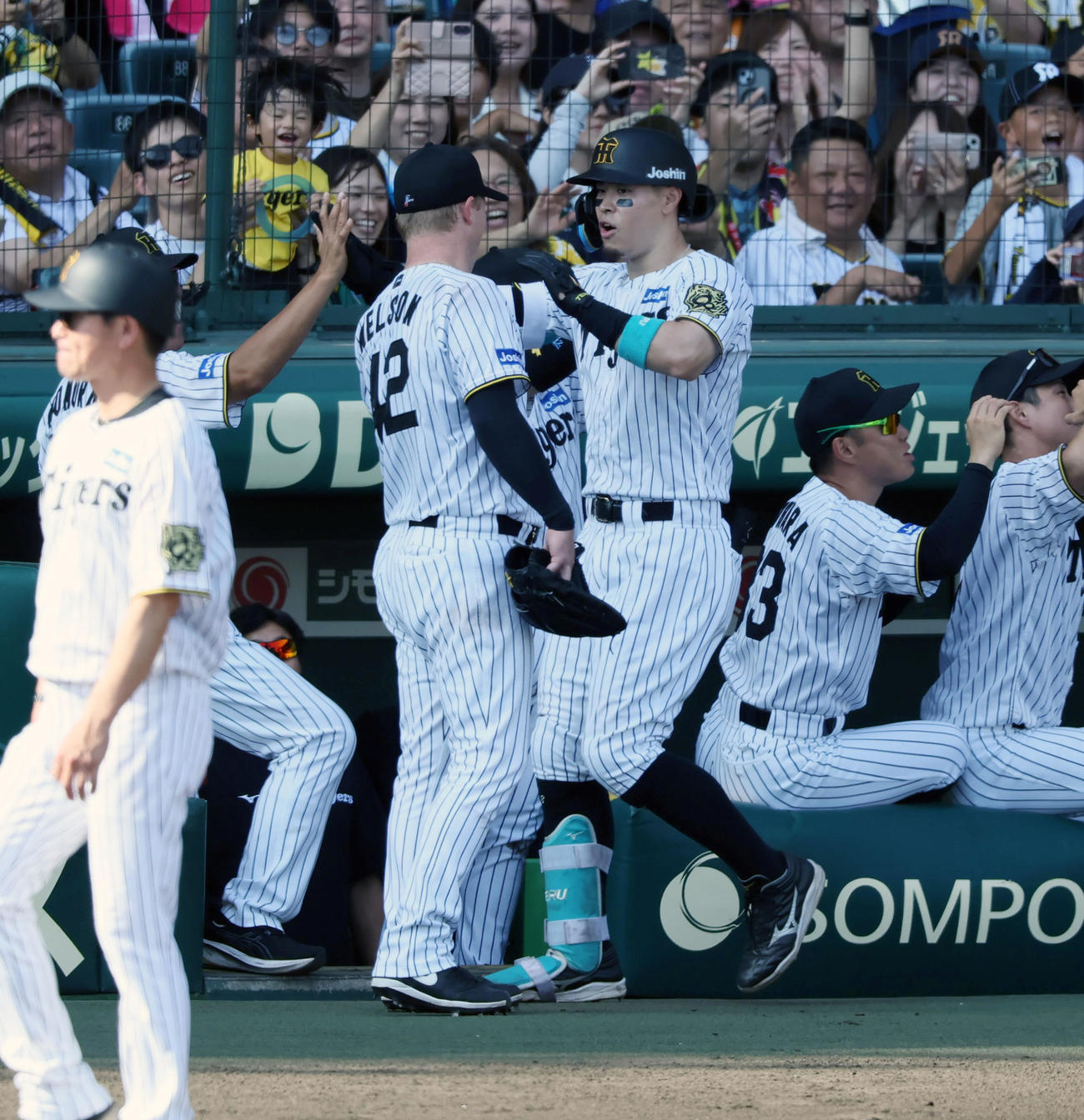 阪神対中日　3回裏阪神1死一塁、佐藤輝は右越え2点本塁打を放ちベンチ前のネルソン（左）とタッチする（撮影・加藤哉）