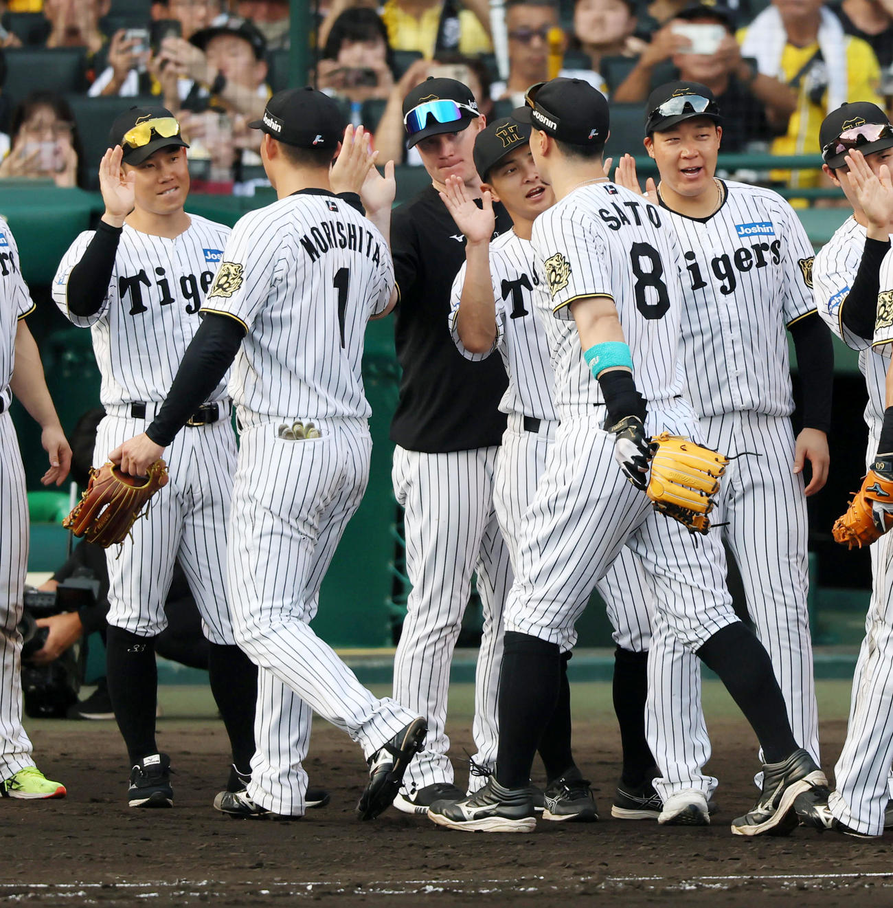 阪神対中日　中日に勝利しナインを迎えるネルソン（撮影・加藤哉）