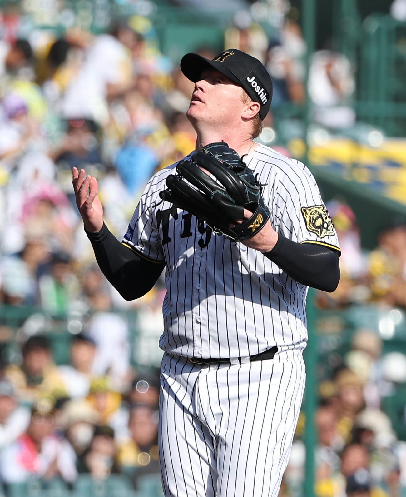 阪神対中日　5回1失点と好投したネルソン（撮影・上田博志）