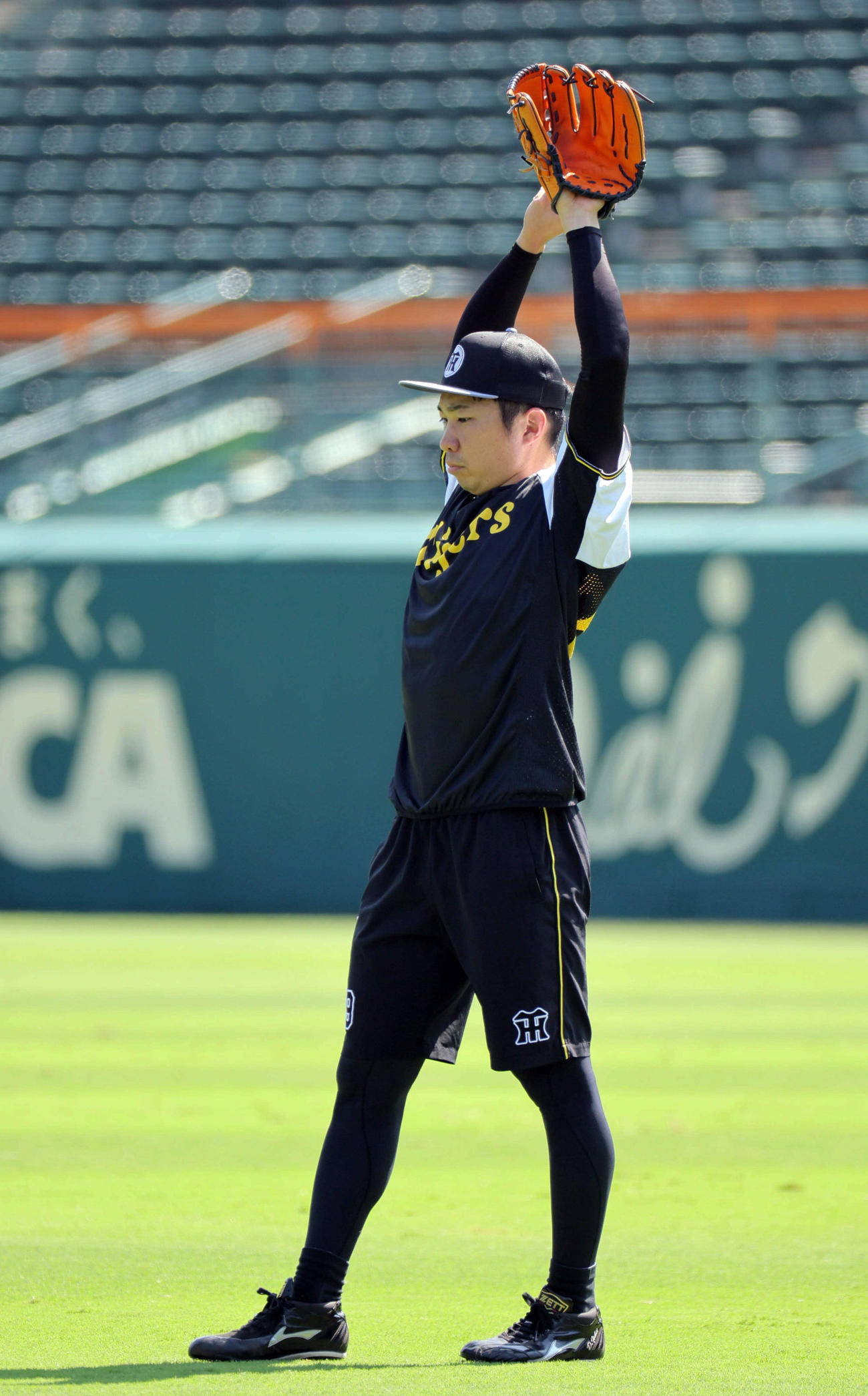 キャッチボールに励む阪神石井（撮影・宮崎幸一）