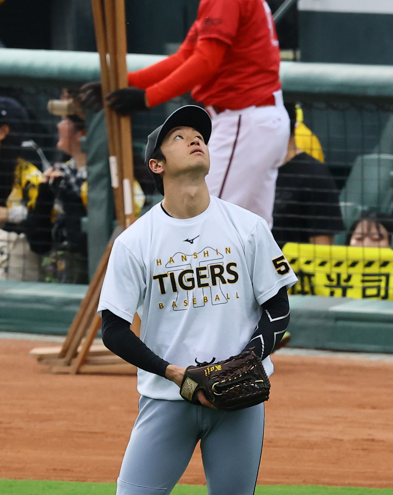 広島対阪神　練習中に空を気にする阪神近本（撮影・藤尾明華）