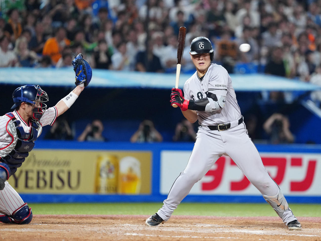 ヤクルト対巨人　5回表巨人1死一、二塁、頭部に死球を受ける岡本（撮影・江口和貴）