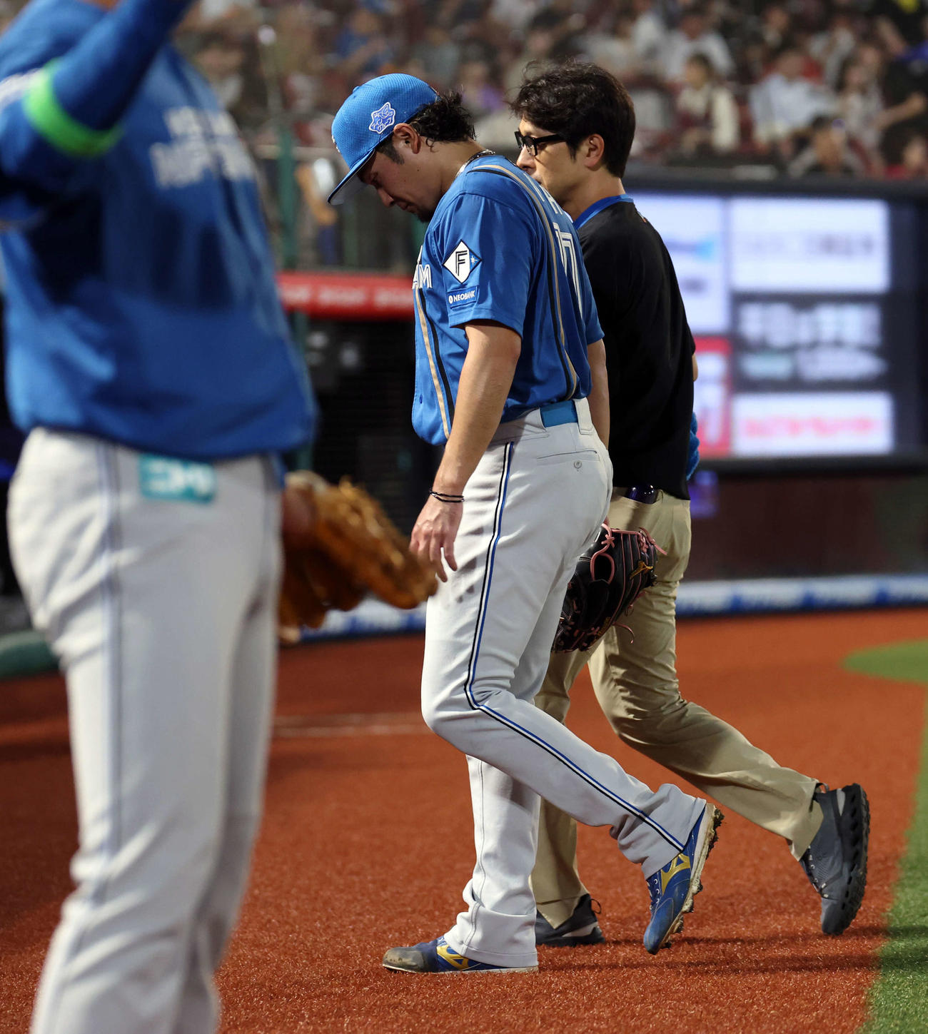 楽天対日本ハム　4回裏楽天無死、黒川の投手急襲内野安打を足に当て、一旦ベンチに下がる伊藤（撮影・浅見桂子）