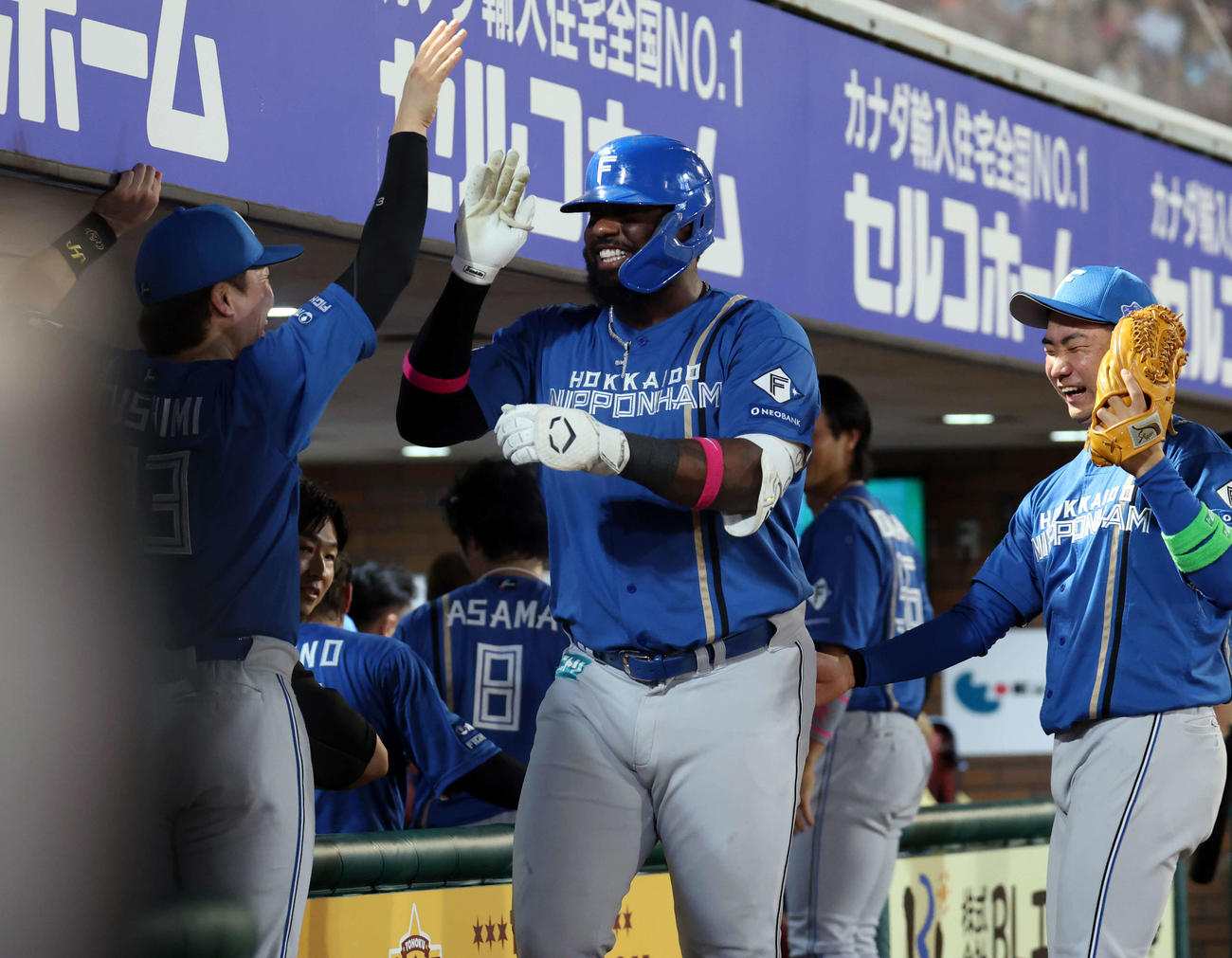 楽天対日本ハム　8回表日本ハム2死、レイエスは中越え同点ソロ本塁打を放ちナインとハイタッチ（撮影・浅見桂子）