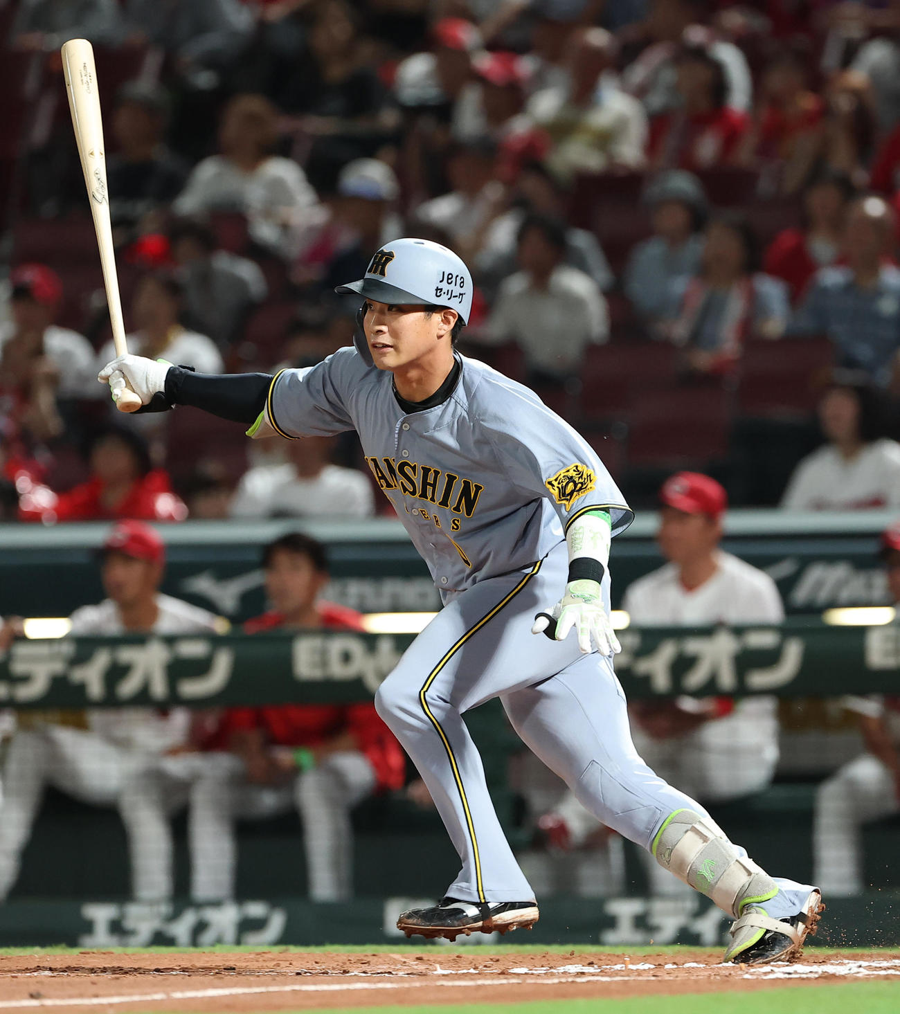 広島対阪神　6回表阪神無死一、三塁、木浪は中前に勝ち越し適時打を放つ（撮影・上田博志）