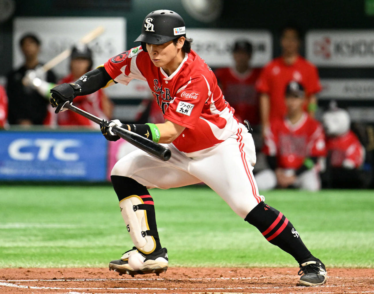ソフトバンク対西武　2回裏ソフトバンク無死一、二塁、谷川原は犠打を試み満塁となる（撮影・林敢治）