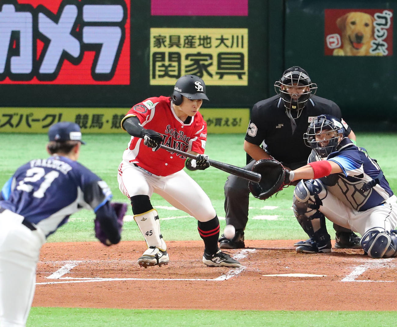 ソフトバンク対西武　2回裏ソフトバンク無死一、二塁、谷川原は送り犠打を狙うがセーフとなり内野安打となる（撮影・梅根麻紀）