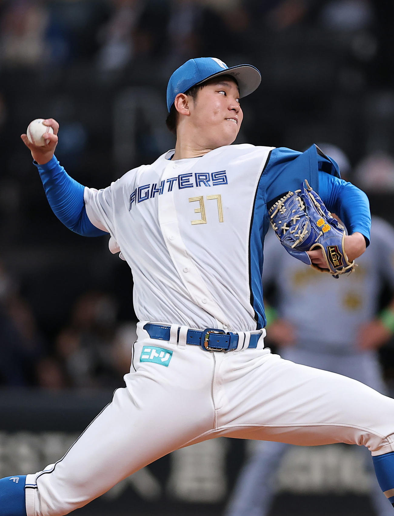 日本ハム古林睿煬（2025年6月3日撮影）