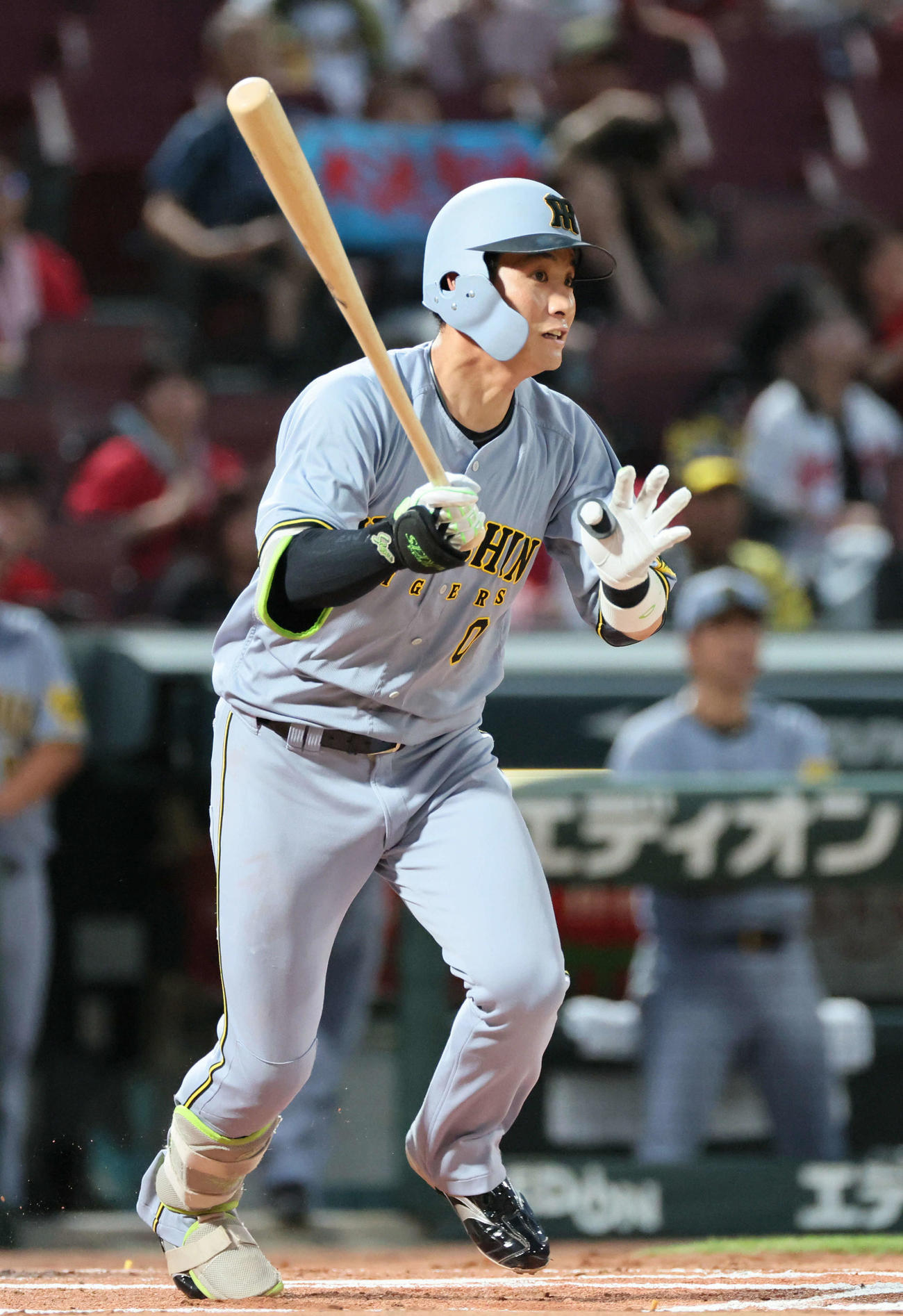 広島対阪神　2回表阪神無死、木浪は右前打を放つ（撮影・加藤孝規）
