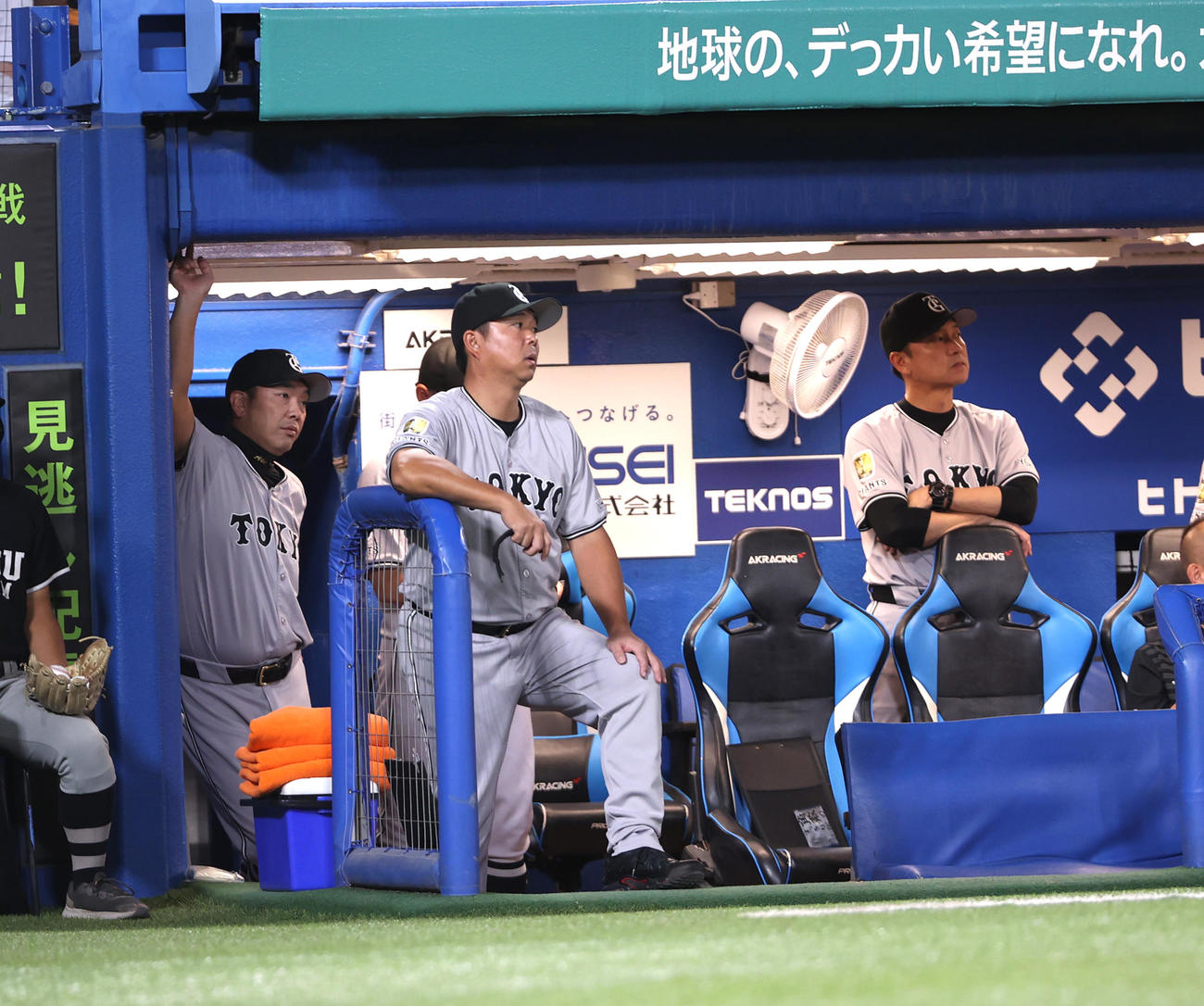 ヤクルト対巨人阿部監督（左端）は厳しい表情で戦況を見守る（撮影・水谷安孝）