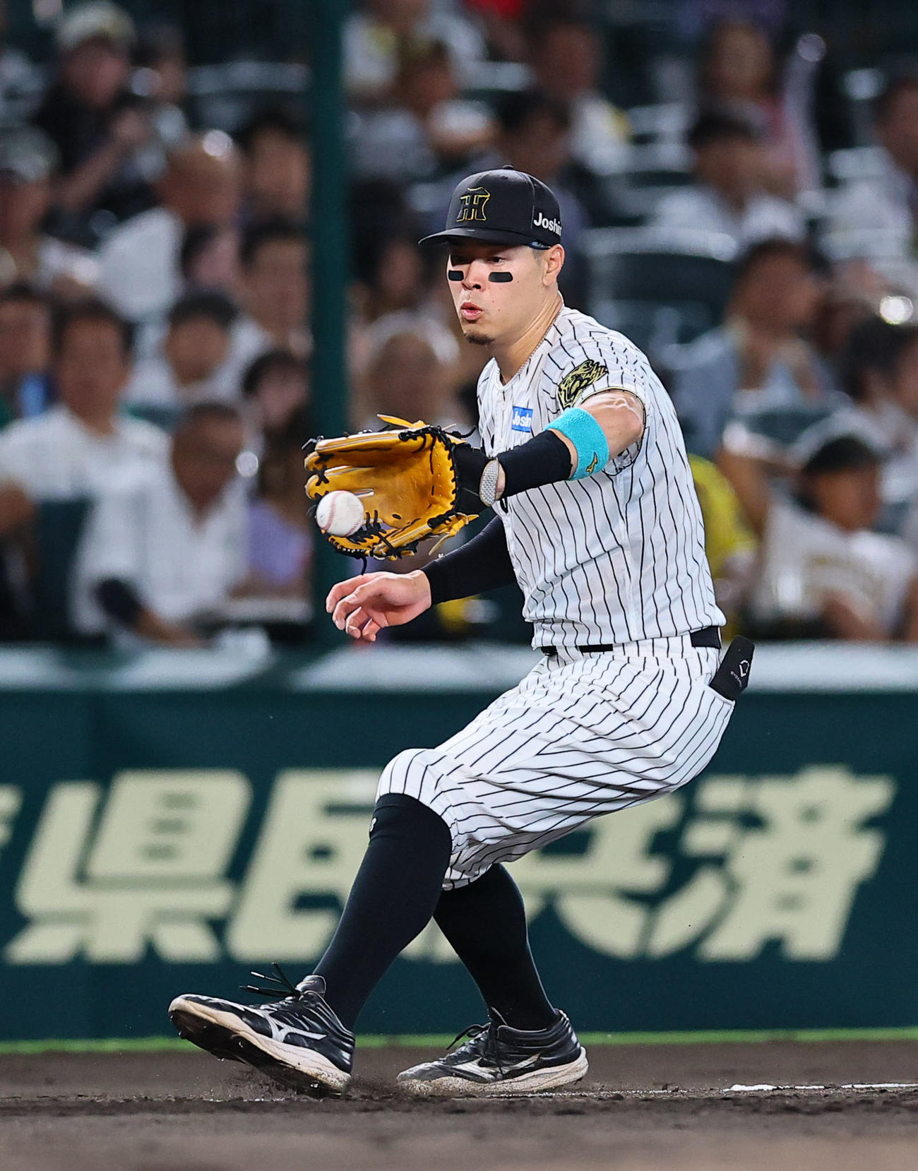 阪神対DeNA 2回表DeNA無死、松尾の三ゴロを処理する佐藤輝（撮影・藤尾明華）