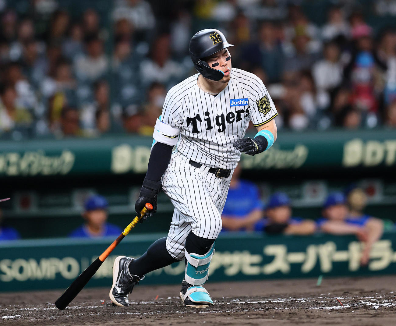 阪神対DeNA 2回裏阪神無死、佐藤輝は二ゴロに倒れる（撮影・藤尾明華）