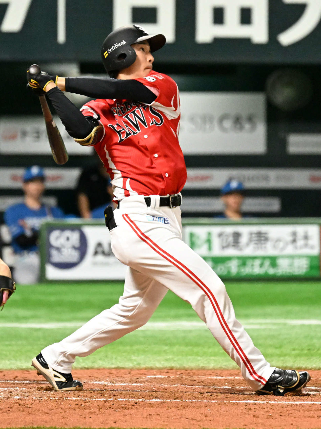 柳町達（2025年9月）