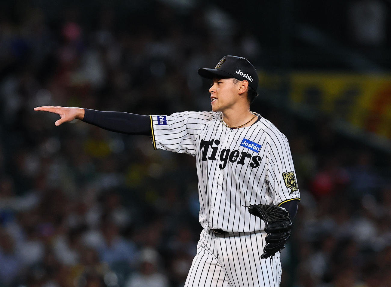 阪神対DeNA 4回表DeNA1死、ビシエドを捕飛に打ち取り、声を出す早川（撮影・藤尾明華）