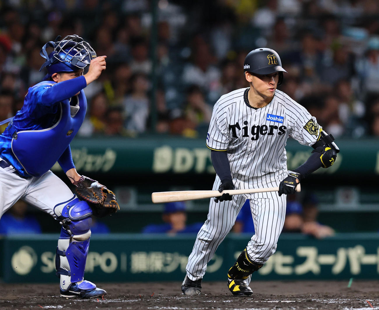 阪神対DeNA 3回裏阪神1死一塁、早川は犠打を決める（撮影・藤尾明華）