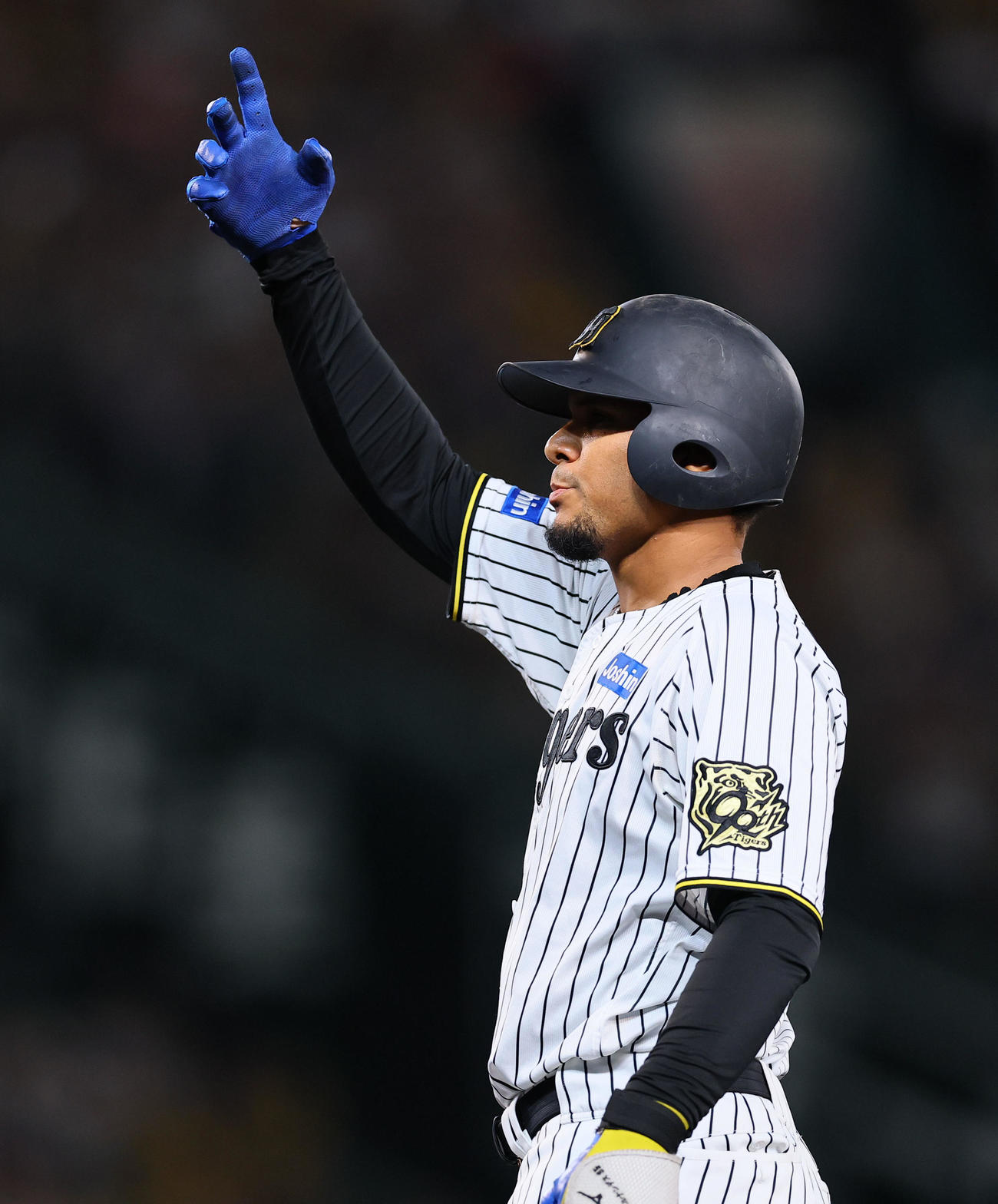 阪神対DeNA 6回裏阪神2死三塁、代打ヘルナンデスは右前適時打を放ちポーズをとる（撮影・藤尾明華）