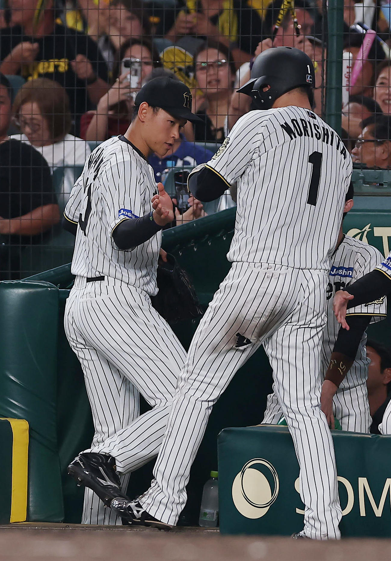 阪神対DeNA 4回裏阪神2死一、二塁、高寺の適時打で生還した森下（右）を迎える早川（撮影・前田充）