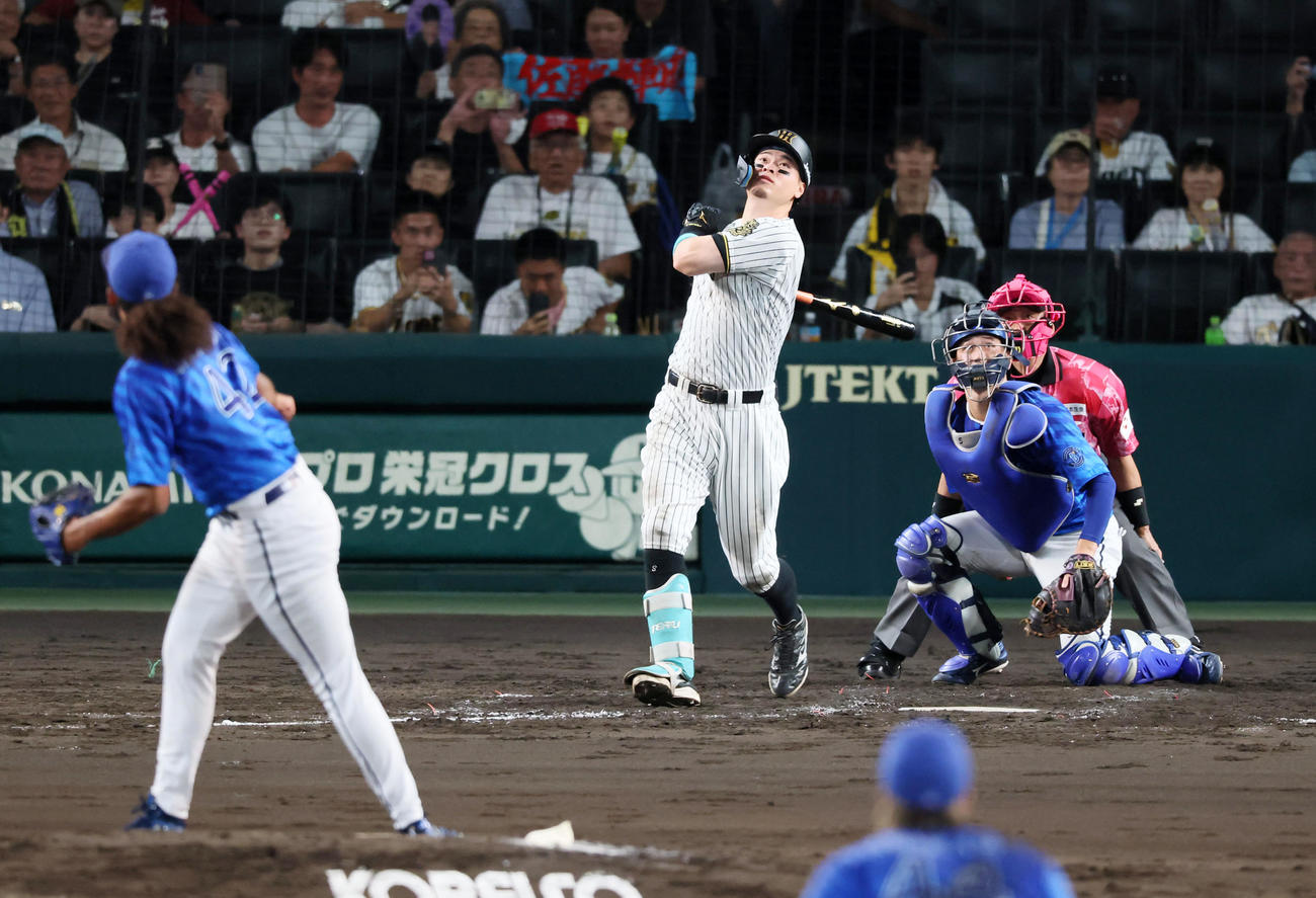 阪神対DeNA 4回裏阪神無死一塁、佐藤輝は左飛を打ち上げる。投手ジャクソン（撮影・加藤哉）