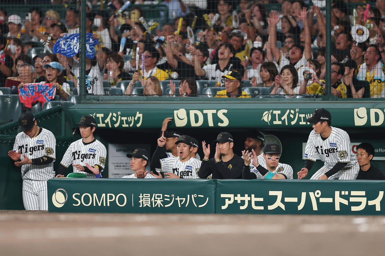 阪神対DeNA DeNAに勝利し、拍手する佐藤輝（右から3人目）ら阪神の選手たち（撮影・前田充）