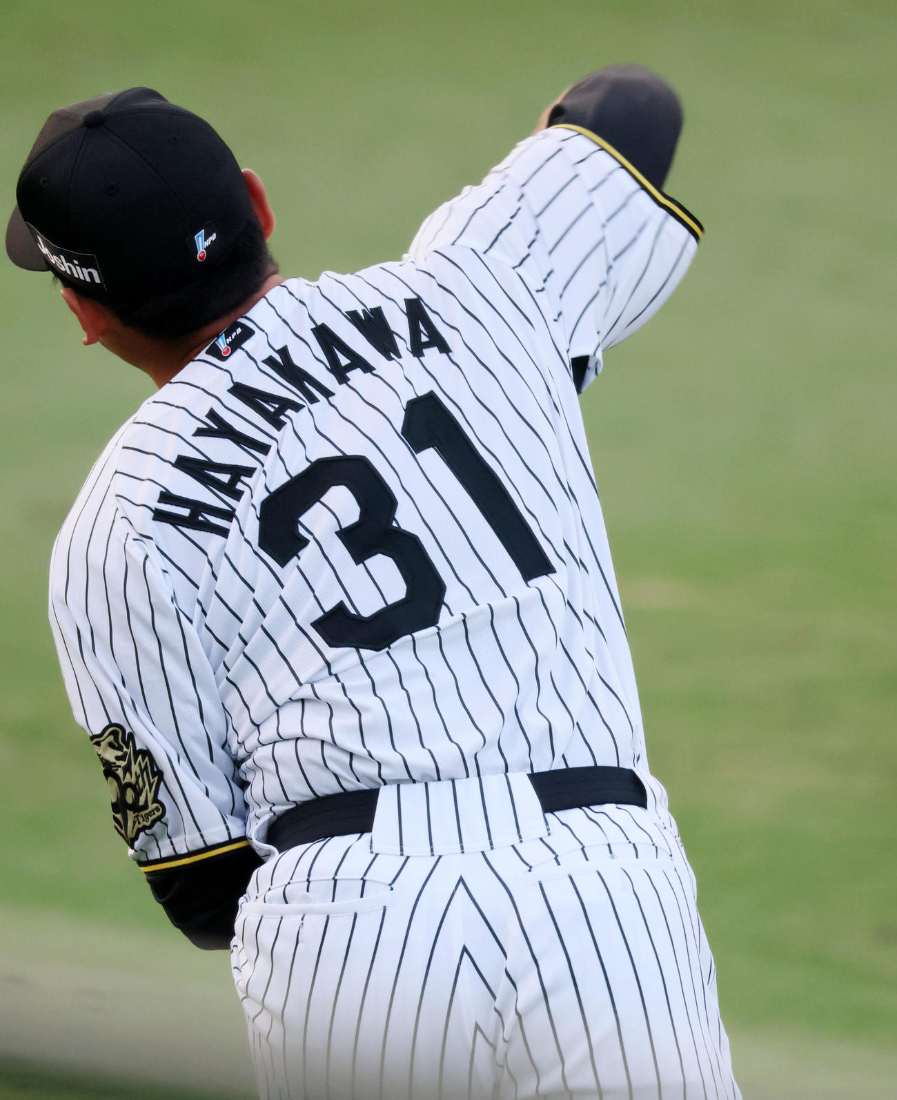 阪神対DeNA　キャッチボールする背番号31番の早川（撮影・加藤哉）