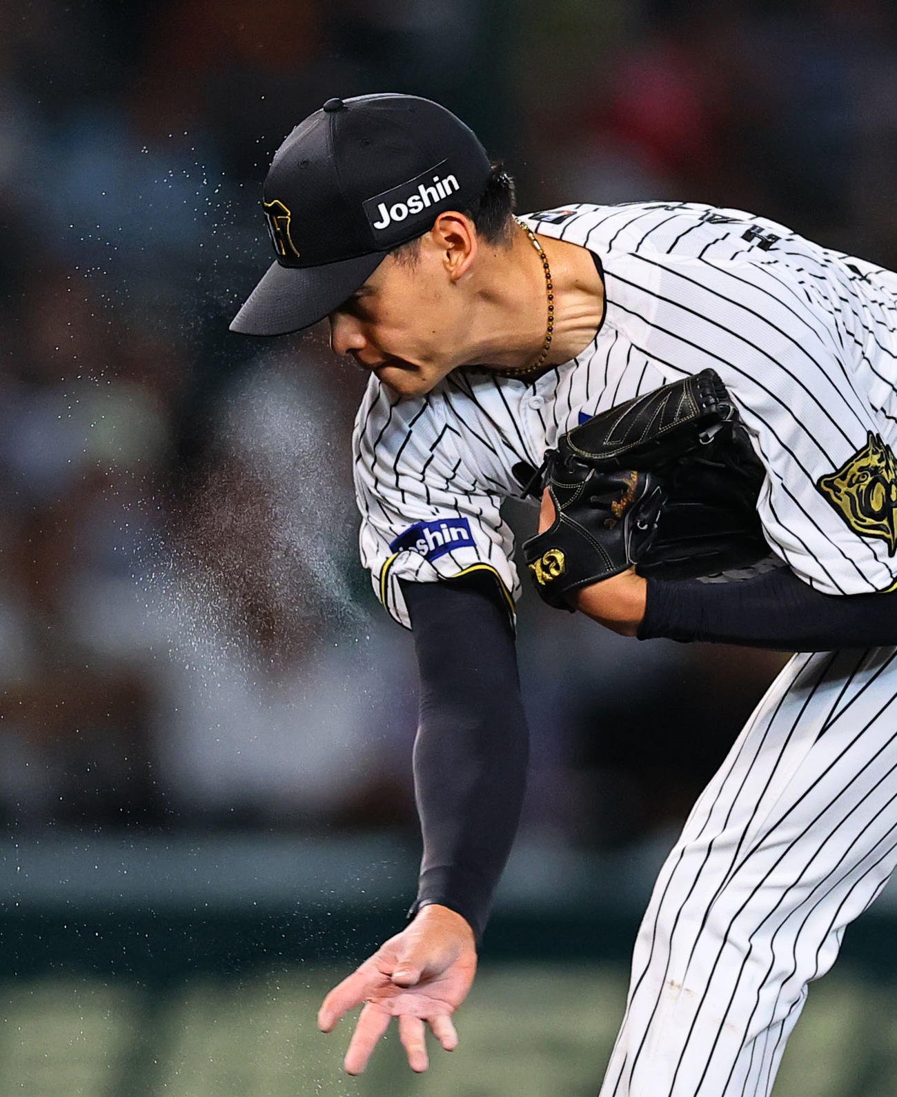 阪神対DeNA 4回、汗を飛ばし力投する阪神早川（撮影・藤尾明華）
