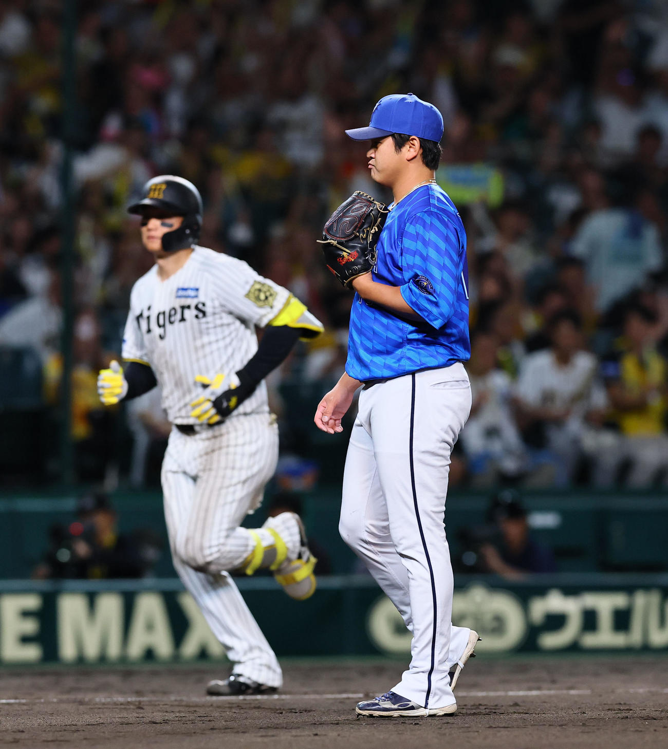 阪神対DeNA 5回裏阪神2死、森下に本塁打を浴びた山崎（撮影・藤尾明華）