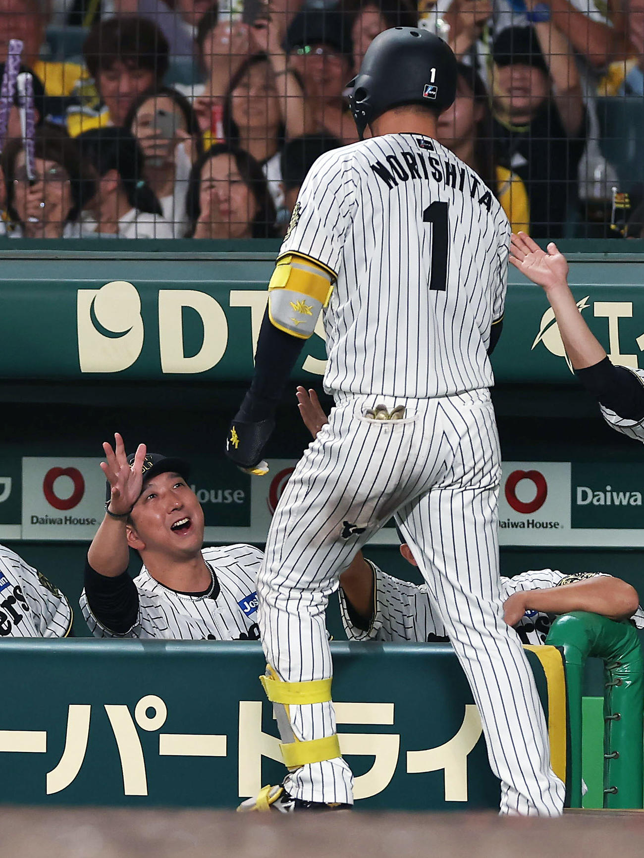 阪神対DeNA 5回裏阪神2死、左中間へ本塁打を放った森下（右）を迎える藤川監督（撮影・前田充）