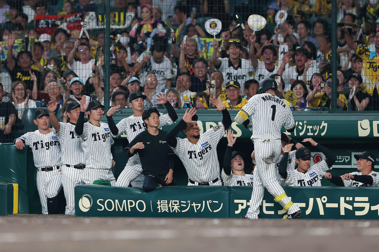 阪神対DeNA 5回裏阪神2死、左中間へ本塁打を放った森下を迎える阪神の選手たち（撮影・前田充）