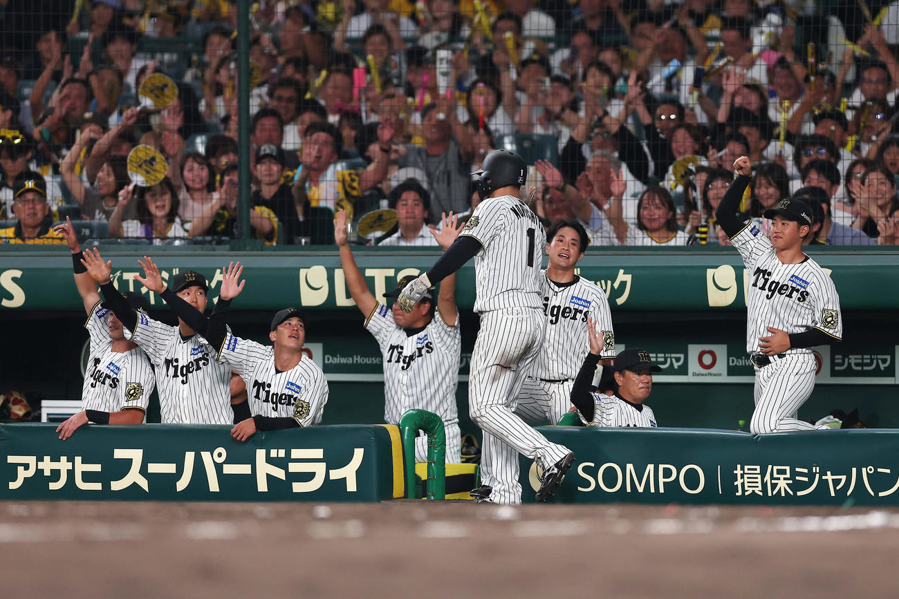 阪神対DeNA 4回裏阪神2死一、二塁、高寺の適時打で生還した森下を迎える阪神の選手たち（撮影・前田充）