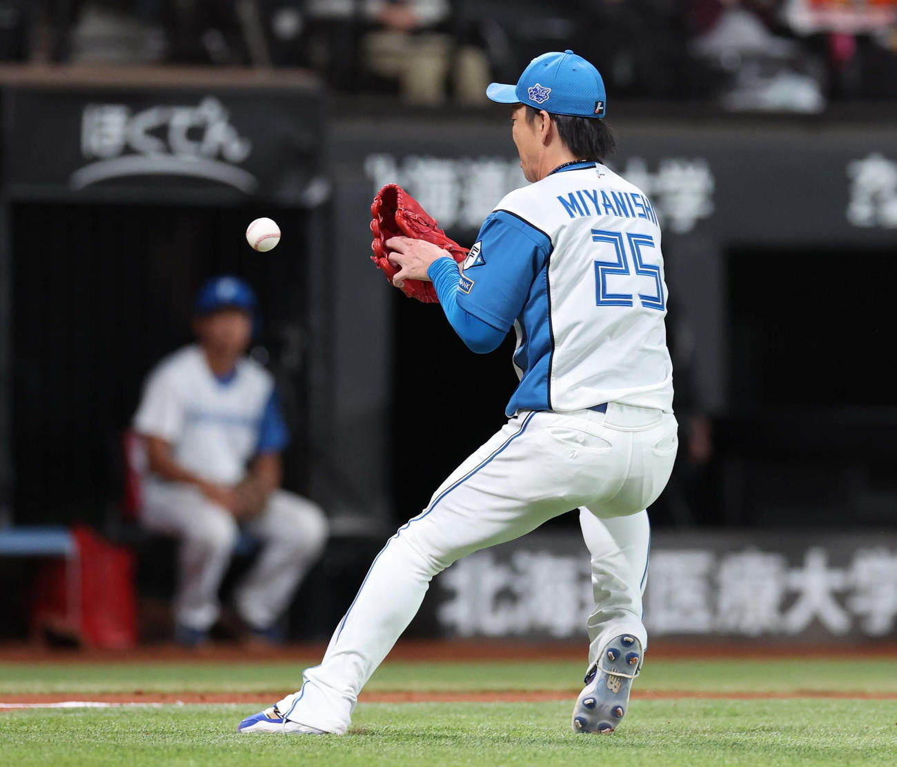 日本ハム対ロッテ　6回表ロッテ無死一、二塁、佐藤のバントした球を送球時に落球する宮西（撮影・黒川智章）