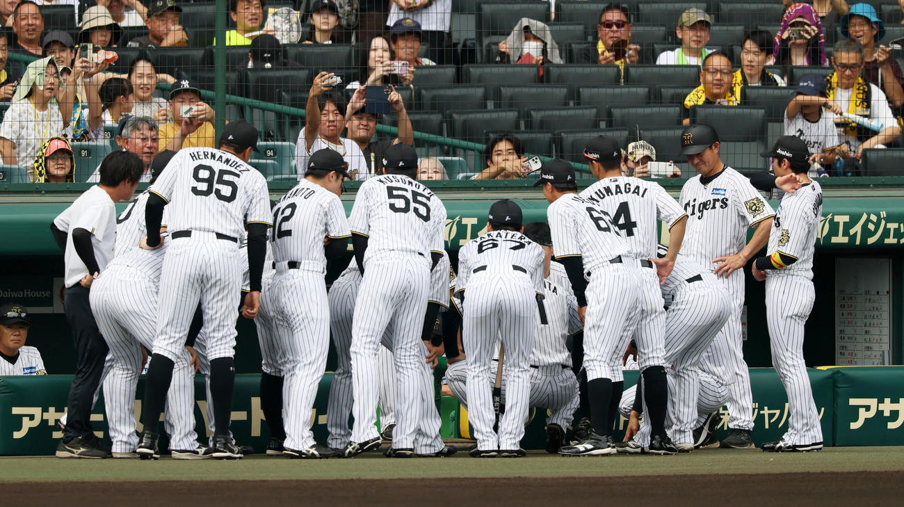 阪神対DeNA　試合前の円陣を組む阪神ナイン（撮影・加藤哉）