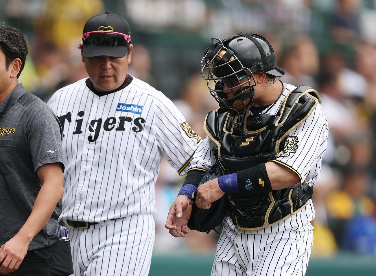阪神対DeNA 4回表DeNA無死一塁、右手を気にしながらベンチへ下がる梅野（右）。左は野村コーチ（撮影・前田充）