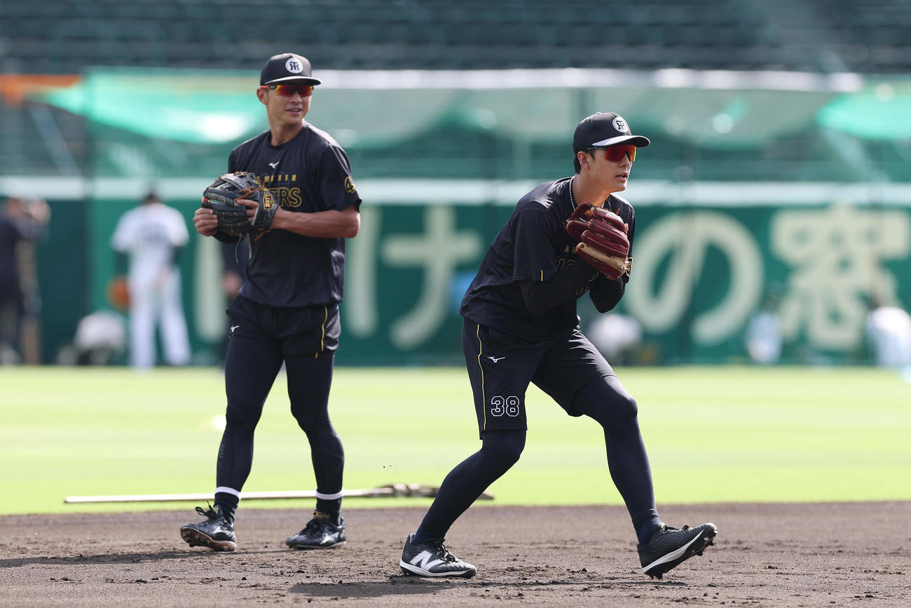 阪神対DeNA　試合前練習でノックを受ける阪神小幡（右）と熊谷（撮影・前田充）