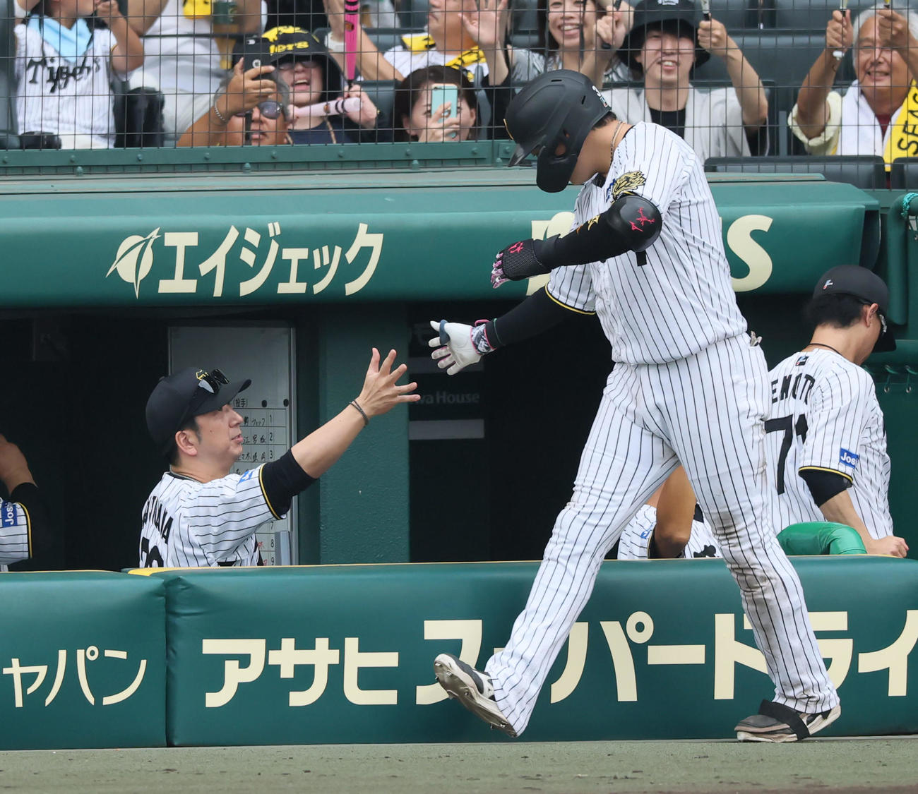 阪神対DeNA 7回裏阪神1死、藤川監督（左）は左越えソロ本塁打を放った大山とベンチでタッチする（撮影・加藤哉）