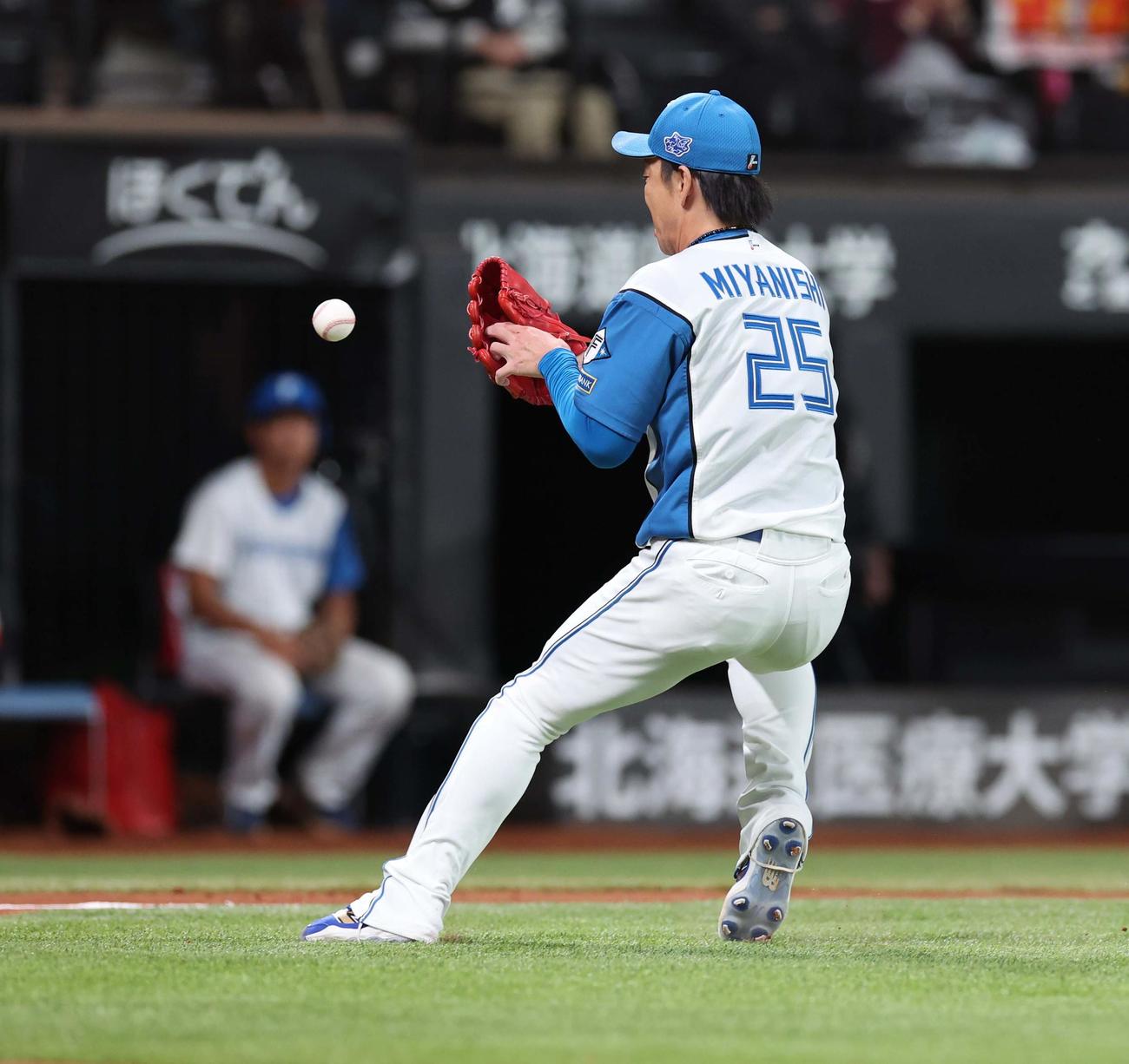 日本ハム対ロッテ　6回表ロッテ無死一、二塁、佐藤のバントした球を送球時に落球する宮西（撮影・黒川智章）