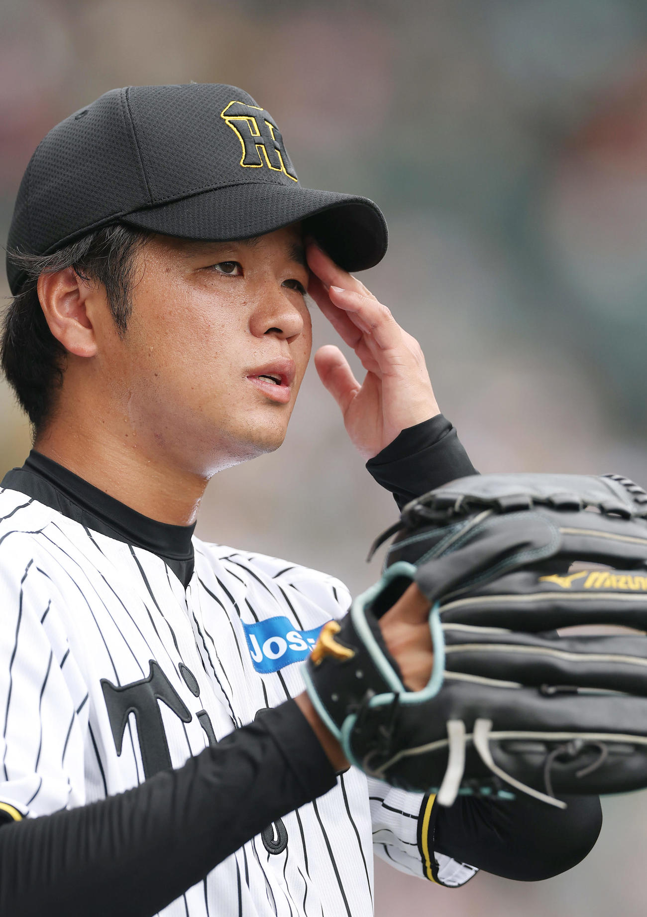 阪神対DeNA 3回表の投球に備える阪神高橋（撮影・前田充）