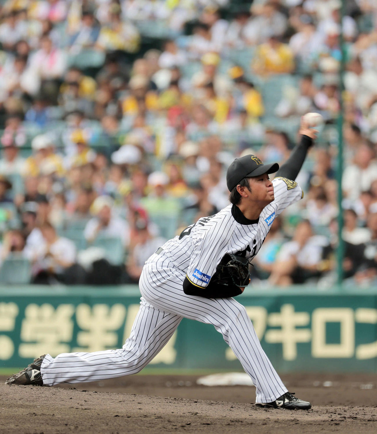 阪神対DeNA　阪神先発の高橋（撮影・宮崎幸一）