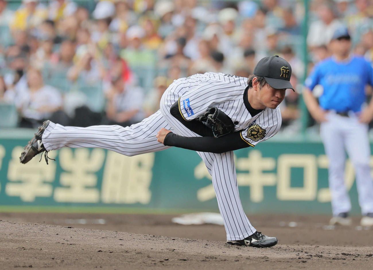 阪神対DeNA　阪神先発の高橋（撮影・宮崎幸一）