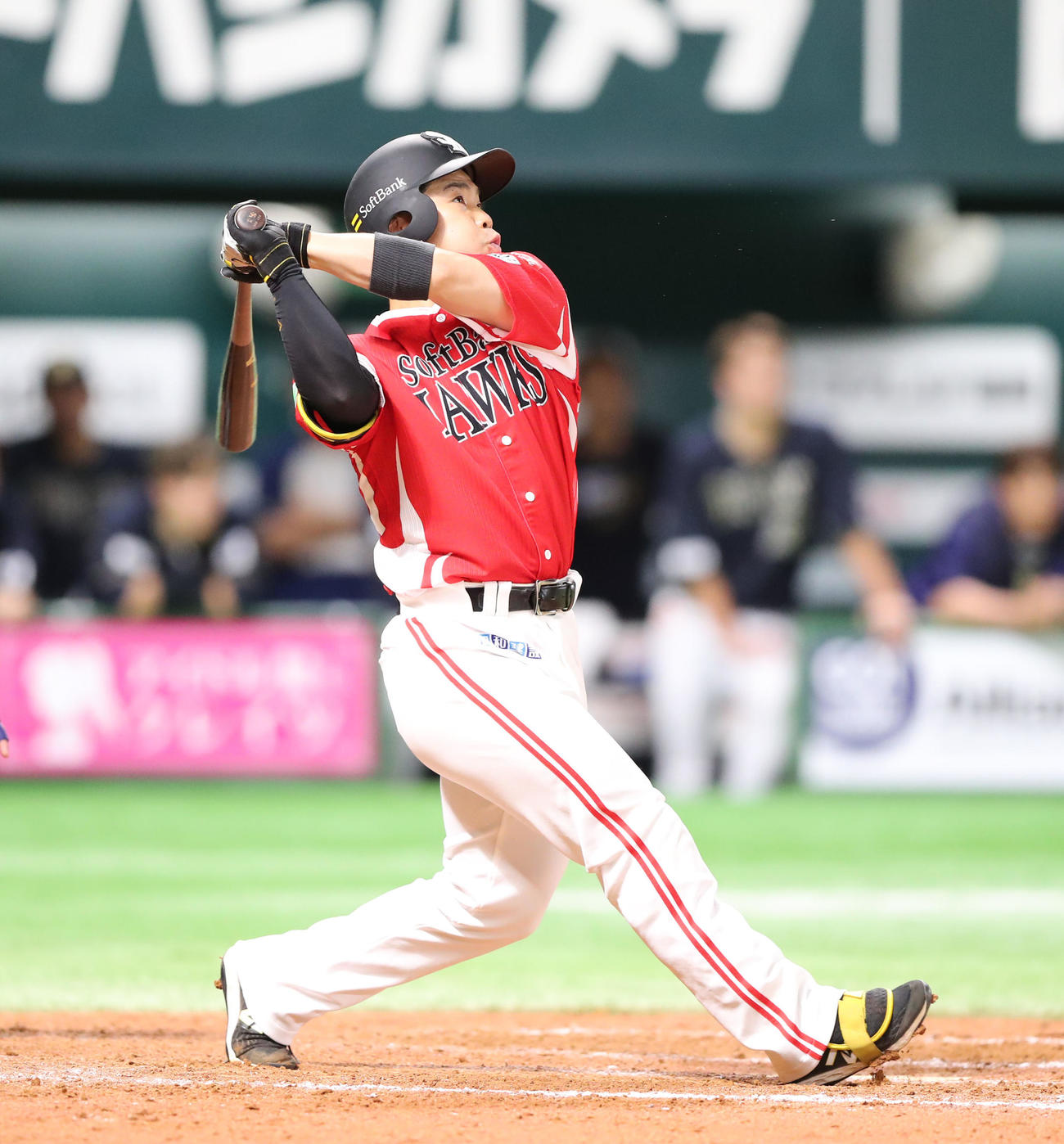 ソフトバンク対オリックス　9回裏ソフトバンク1死、近藤は右越えに本塁打を放つ（撮影・梅根麻紀）