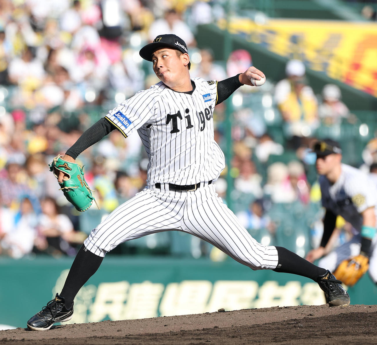 阪神・伊原陵人（2025年9月15日撮影）