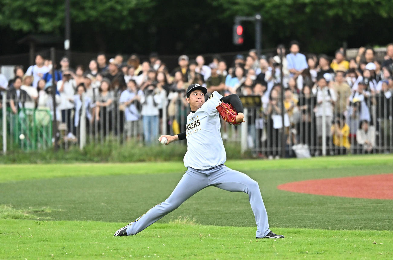 ヤクルト対阪神　試合前練習でファンに見守られながら調整する阪神才木（撮影・滝沢徹郎）