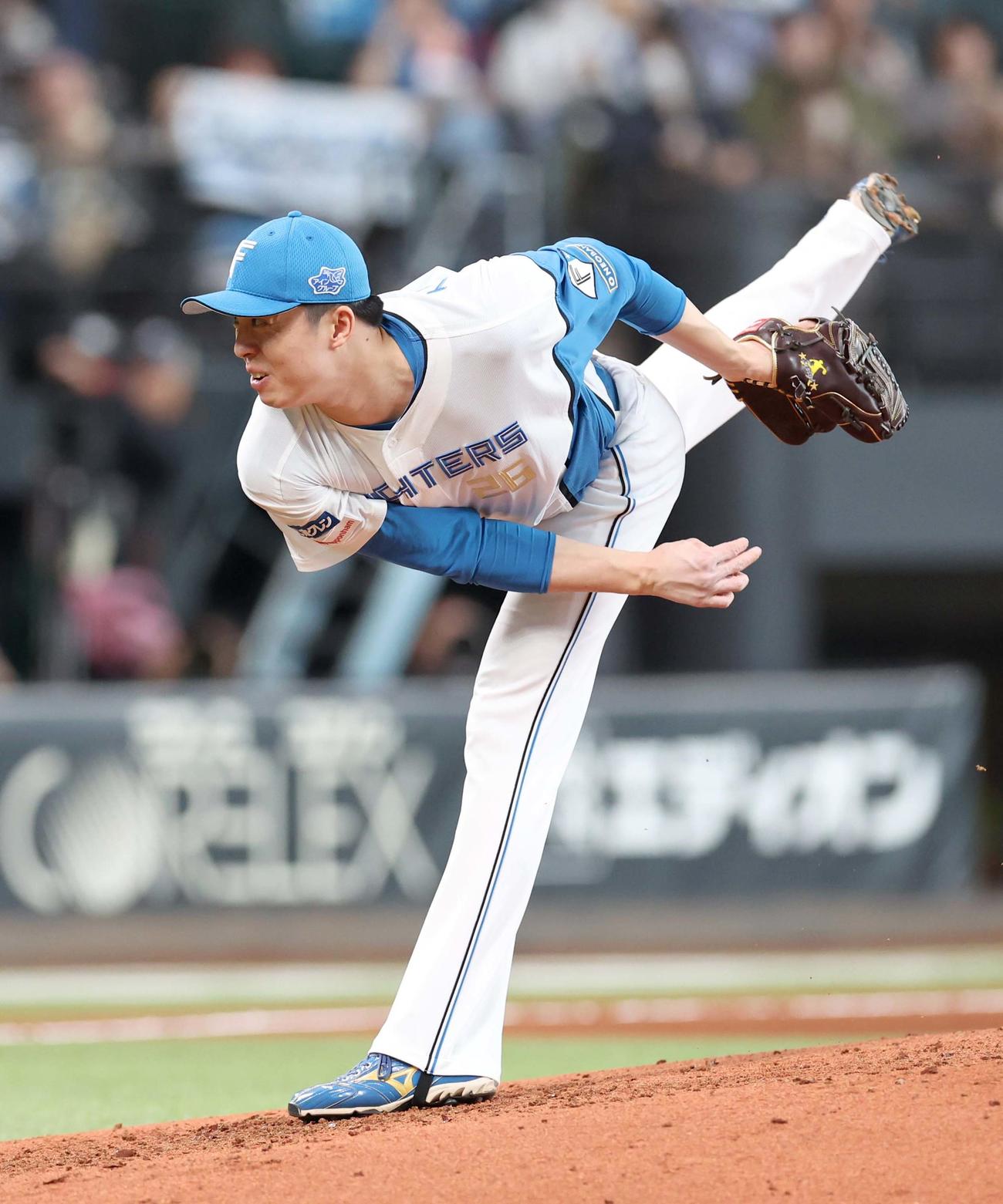 日本ハム対ロッテ　6回に登板の田中（撮影・黒川智章）