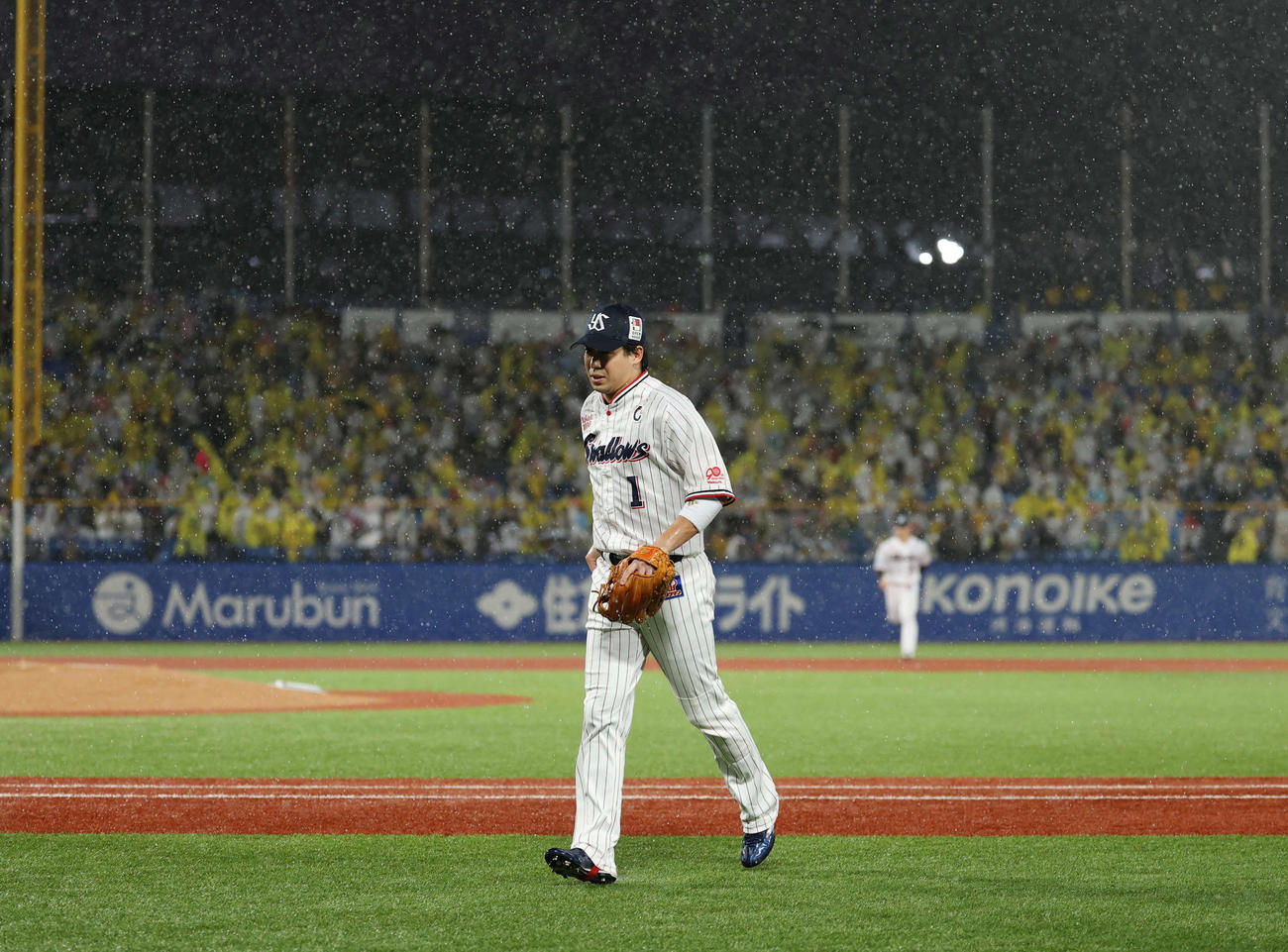 ヤクルト対阪神　6回途中で雨により中断した神宮球場。ベンチへ避難するヤクルト山田（撮影・増田悦実）