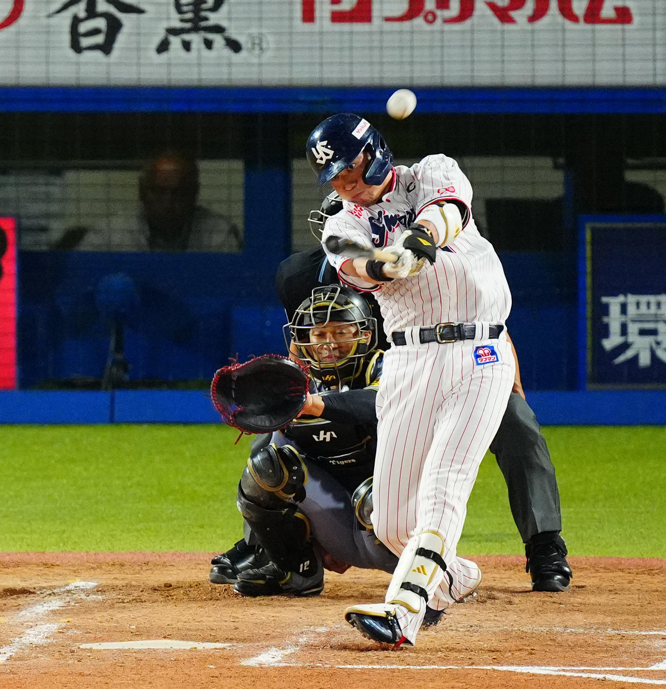 ヤクルト対阪神　2回裏ヤクルト無死、先制ソロ本塁打を放つ山田（撮影・垰建太）