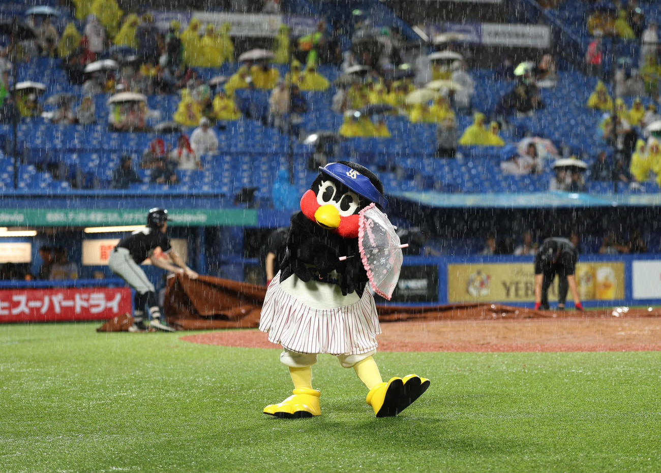 ヤクルト対阪神　雨で中断した神宮球場。大雨の中ダンスを踊るつばみ（撮影・増田悦実）
