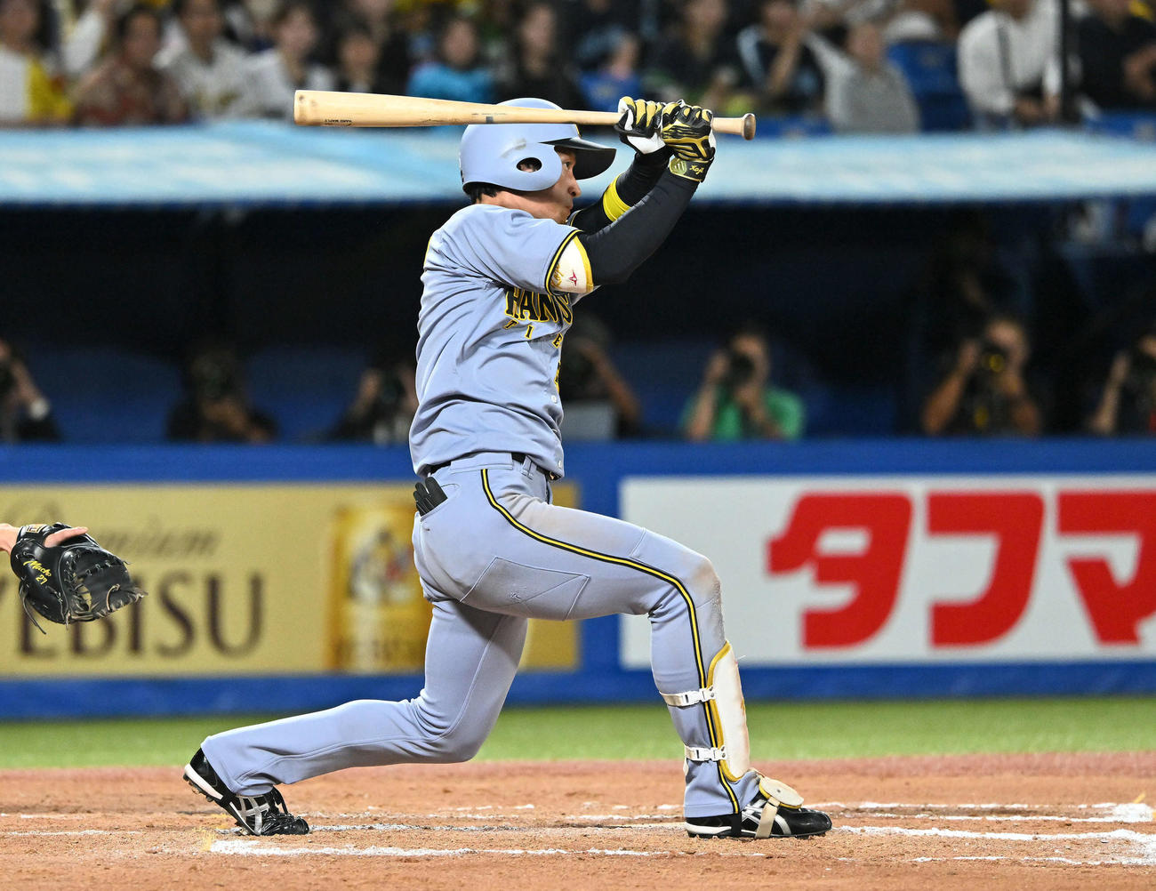 ヤクルト対阪神　7回表阪神2死一塁、近本は右前打を放つ（撮影・滝沢徹郎）