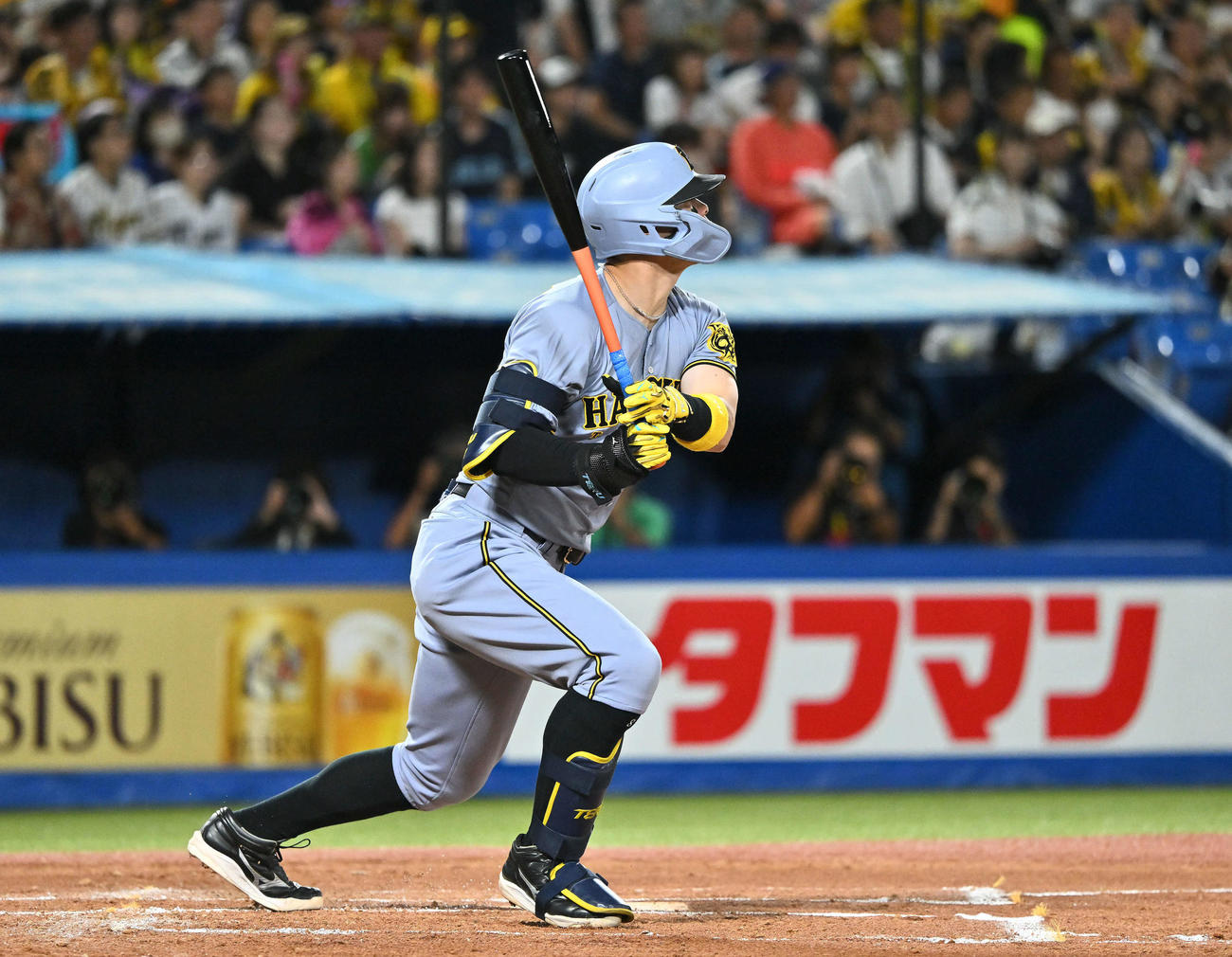 ヤクルト対阪神　2回表阪神無死、佐藤輝は左中間へ先制ソロ本塁打を放つ（撮影・滝沢徹郎）