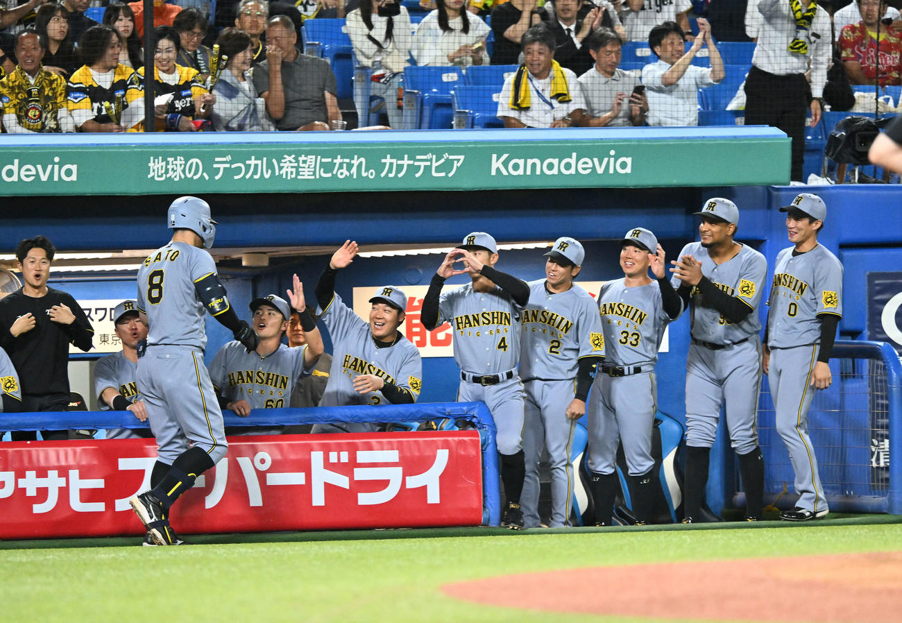 ヤクルト対阪神　2回表阪神無死、先制ソロ本塁打を放った佐藤輝（手前）を迎える選手たち（撮影・滝沢徹郎）