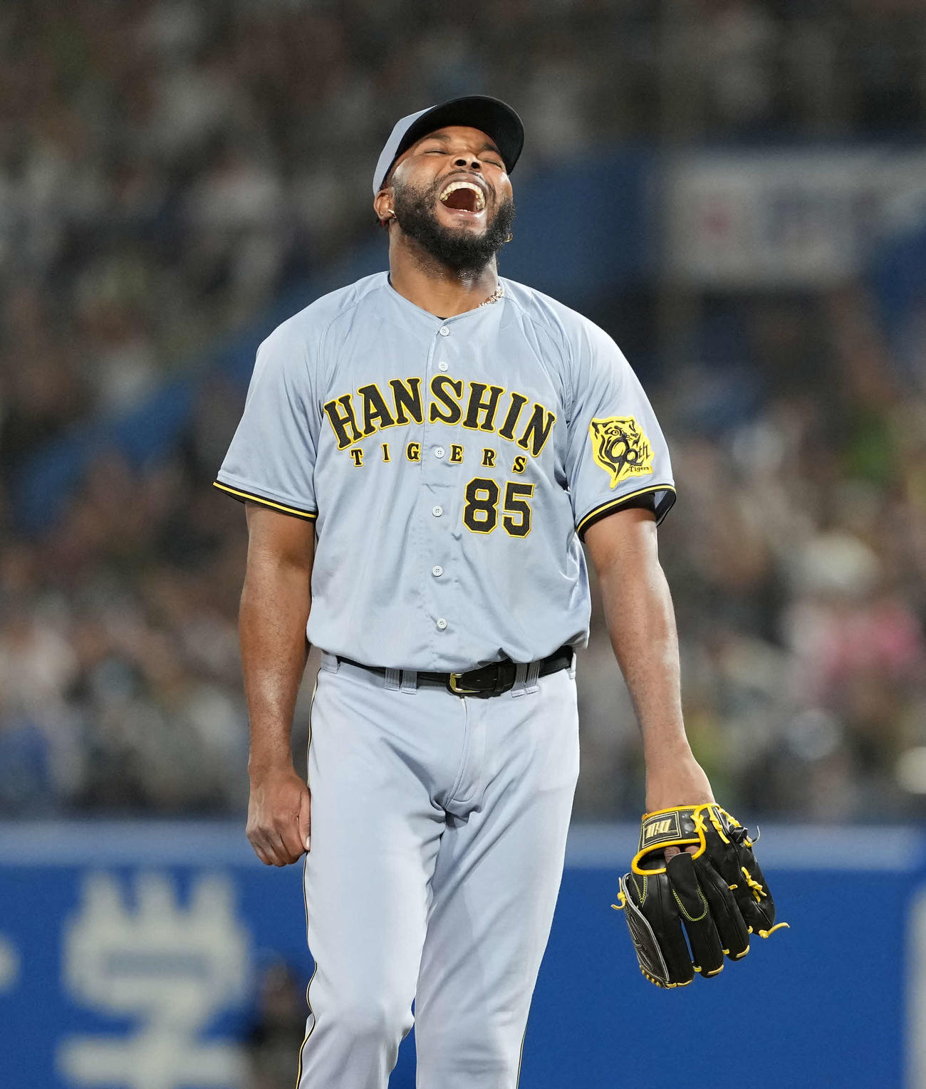 ヤクルト対阪神　8回裏ヤクルト2死、オスナに本塁打を浴びるドリス（撮影・井上学）