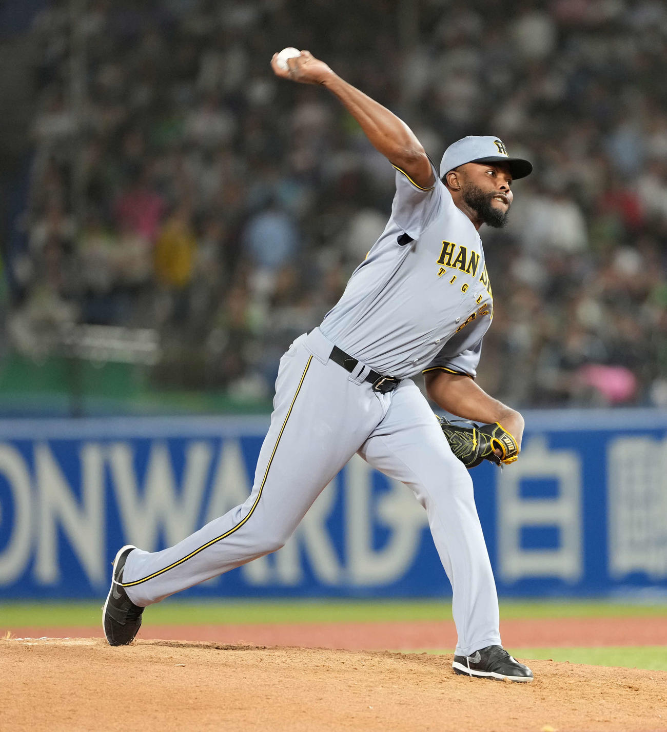 ヤクルト対阪神　力投する阪神ドリス（撮影・井上学）